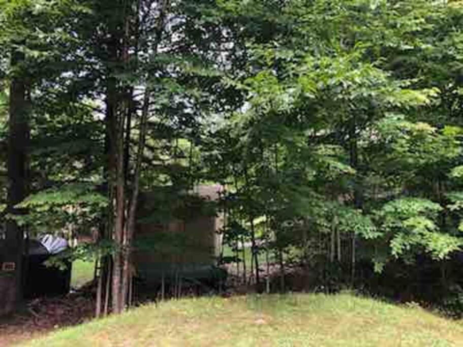 Muskoka Manor Villa Dwight Dış mekan fotoğraf