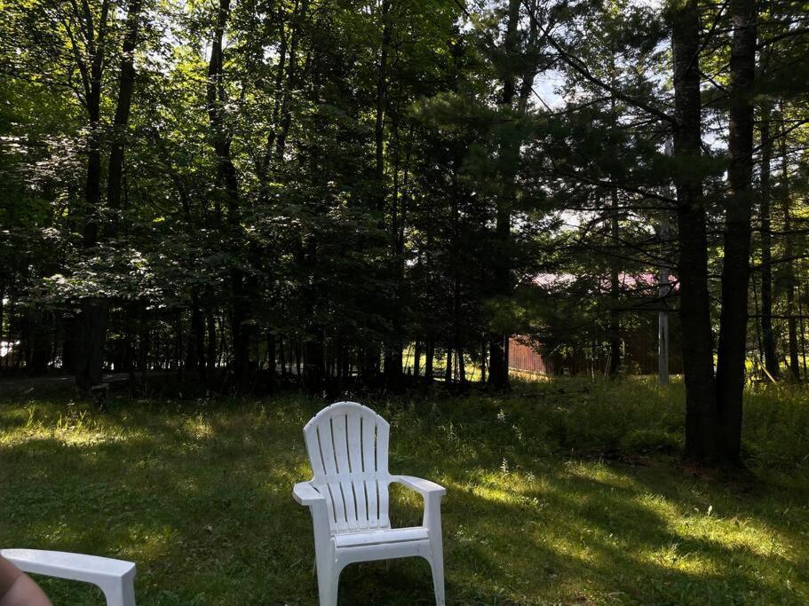 Muskoka Manor Villa Dwight Dış mekan fotoğraf