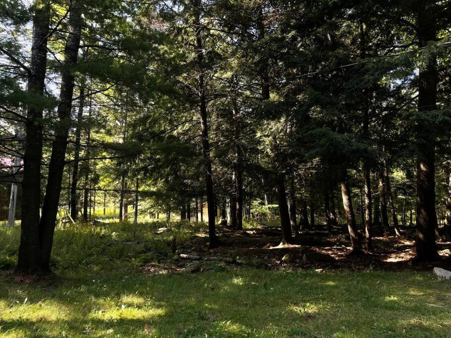 Muskoka Manor Villa Dwight Dış mekan fotoğraf